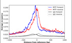 Anti-MITF Antibody