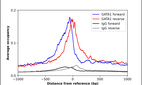 Anti-GATA1 Antibody