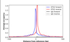 Anti-OTX2 Antibody