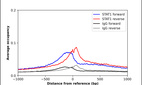 ChIP-Exo-Seq composite graph for Anti-STAT1 (HPA000982, Lot 000053776) tested in K562 cells. Strand-specific reads (blue: forward, red: reverse) and IgG controls (black: forward, grey: reverse) are plotted against the distance from a composite set of reference binding sites. The antibody exhibits robust target enrichment compared to a non-specific IgG control and precisely reveals its structural organization around the binding site. Data generated by Prof. B. F. Pugh´s Lab at Cornell University.