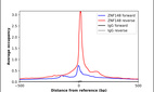 ChIP-Exo-Seq composite graph for Anti-ZNF148 (HPA001656, Lot A115722) tested in K562 cells. Strand-specific reads (blue: forward, red: reverse) and IgG controls (black: forward, grey: reverse) are plotted against the distance from a composite set of reference binding sites. The antibody exhibits robust target enrichment compared to a non-specific IgG control and precisely reveals its structural organization around the binding site. Data generated by Prof. B. F. Pugh´s Lab at Cornell University.