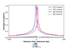 Anti-ELF1 Antibody