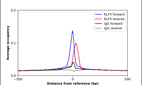 Anti-KLF4 Antibody