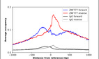 Anti-ZNF777 Antibody