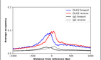 Anti-OLIG2 Antibody