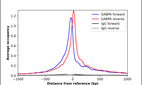 Anti-GABPA Antibody