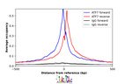 Anti-ATF7 Antibody