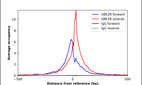 Anti-UBE2B Antibody