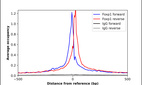 Anti-FOXP1 Antibody