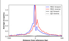 Anti-PBX1 Antibody