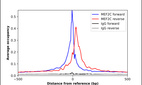 Anti-MEF2C Antibody