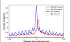 Anti-ZNF18 Antibody