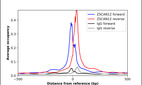 ChIP-Exo-Seq composite graph for Anti-ZSCAN12 (HPA006637, Lot R01561) tested in K562 cells. Strand-specific reads (blue: forward, red: reverse) and IgG controls (black: forward, grey: reverse) are plotted against the distance from a composite set of reference binding sites. The antibody exhibits robust target enrichment compared to a non-specific IgG control and precisely reveals its structural organization around the binding site. Data generated by Prof. B. F. Pugh´s Lab at Cornell University.