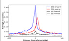 Anti-SKIL Antibody