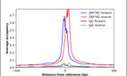 Anti-ZNF782 Antibody