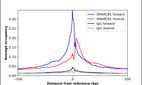 Anti-SMARCB1 Antibody