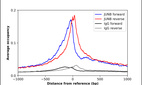 Anti-JUNB Antibody