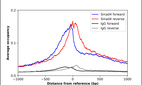 Anti-SMAD4 Antibody