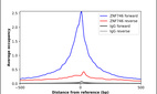 Anti-ZNF746 Antibody