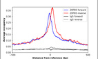 Anti-ZBTB5 Antibody