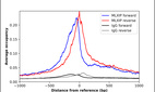 Anti-MLXIP Antibody