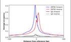 Anti-ZBTB2 Antibody