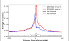 Anti-ZSCAN21 Antibody