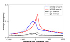 Anti-NFATC2 Antibody