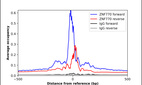 Anti-ZNF770 Antibody