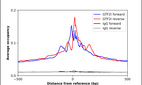 Anti-GTF2I Antibody