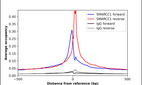 Anti-SMARCC1 Antibody