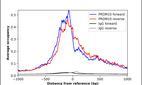 ChIP-Exo-Seq composite graph for Anti-PRDM10 (HPA026997, Lot A118805) tested in K562 cells. Strand-specific reads (blue: forward, red: reverse) and IgG controls (black: forward, grey: reverse) are plotted against the distance from a composite set of reference binding sites. The antibody exhibits robust target enrichment compared to a non-specific IgG control and precisely reveals its structural organization around the binding site. Data generated by Prof. B. F. Pugh´s Lab at Cornell University.