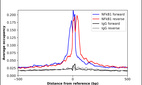 Anti-NFKB1 Antibody