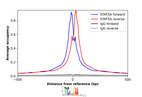 Anti-STAT5A Antibody