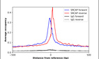 Anti-SRCAP Antibody