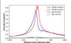 Anti-TAF4B Antibody