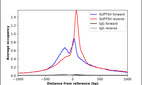 Anti-SUPT5H Antibody