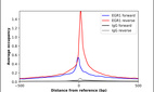 Anti-EGR1 Antibody