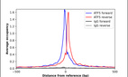 Anti-ATF5 Antibody