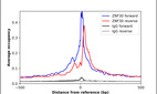 Anti-ZNF30 Antibody