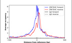 Anti-ZNF354C Antibody