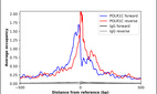 Anti-POLR1C Antibody