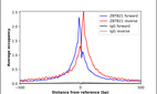 ChIP-Exo-Seq composite graph for Anti-ZBTB21 (HPA031758, Lot R31912) tested in K562 cells. Strand-specific reads (blue: forward, red: reverse) and IgG controls (black: forward, grey: reverse) are plotted against the distance from a composite set of reference binding sites. The antibody exhibits robust target enrichment compared to a non-specific IgG control and precisely reveals its structural organization around the binding site. Data generated by Prof. B. F. Pugh´s Lab at Cornell University.