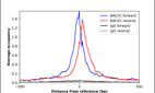 Anti-BACH1 Antibody