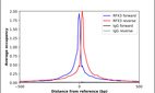 Anti-RFX3 Antibody