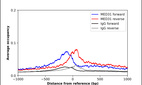 Anti-MED31 Antibody