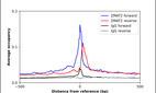 Anti-ZMAT2 Antibody