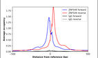 Anti-ZNF549 Antibody