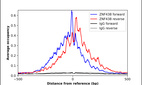 Anti-ZNF438 Antibody