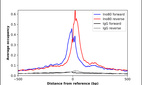 Anti-INO80 Antibody